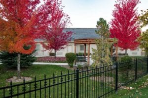 Boise Memory Care- Outside Fall