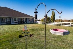 American Falls ID - Spring Creek - bird feeder