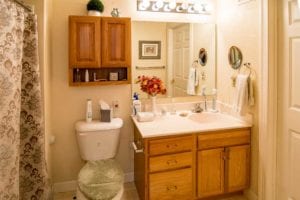 Stephan MN - Tamarac - bathroom