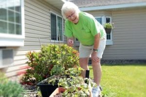 senior out gardenning