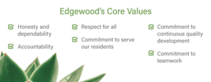 Healthcare core values.