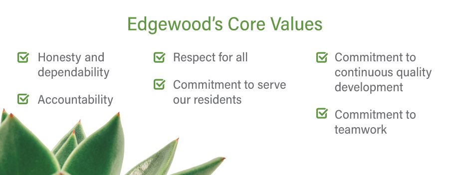 Healthcare core values.