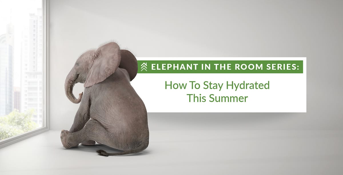 Elephant in the Room Series: How to Stay Hydrated this Summer