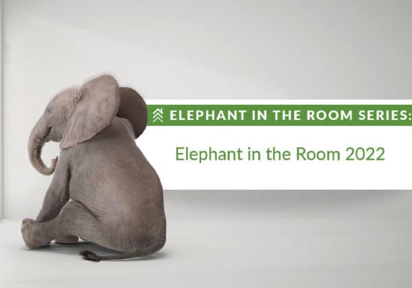 What is Our Elephant in the Room Series?