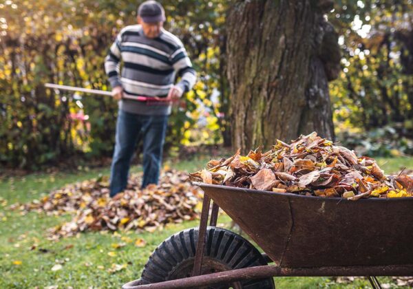 Tackling Your Fall To-Do List