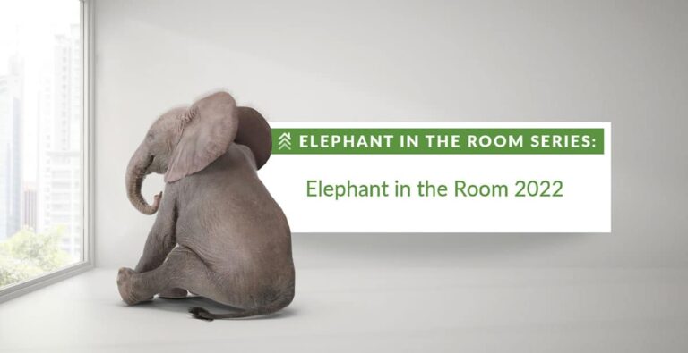 Elephant-in-the-Room-Series-Elephant-in-the-Room-2022