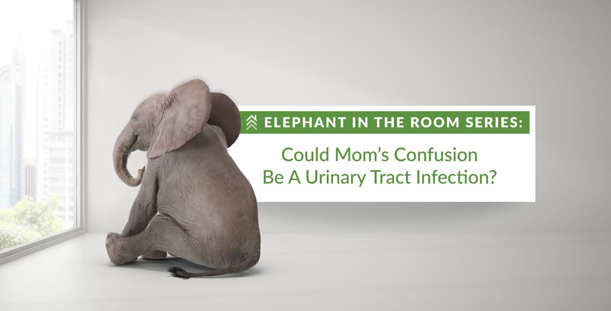 Blog graphic: Elephant-in-the-Room-Series-UTI