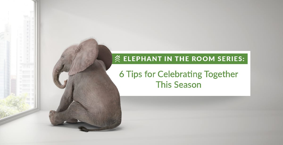 Elephant-in-the-Room-Series-image-The-Best-Gifts-Dont-Have-to-Break-the-Bank