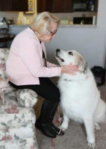 Female seated on couch with large white dog