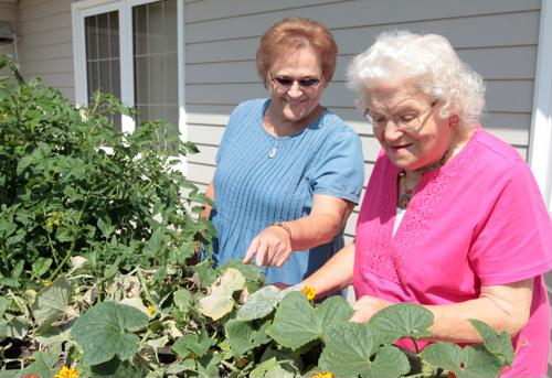 Two female seniors gardening